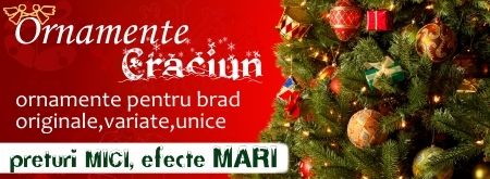 ornamente si decoratiuni craciun